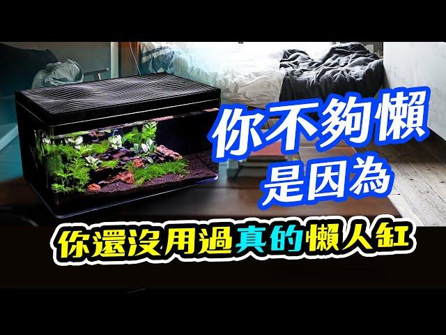 神體驗：開箱悠合生態缸！號稱半年不用換水的魚缸！Harmony Aquarium Unpacking. Not need to change water for half a year!