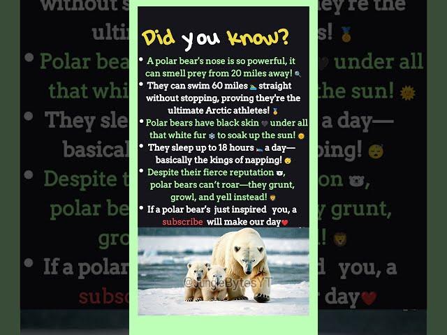 Polar Bear Facts That Will Blow Your Mind! ‍️ #didyouknow #animalfacts #junglebytes #polarbear