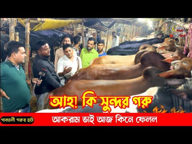 আহ কি সুন্দর গরু! কিভাবে আকরাম ভাই কিনে ফেলে! গাবতলী ২০২৪