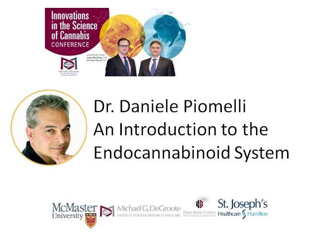 An Introduction to the Endocannabinoid System