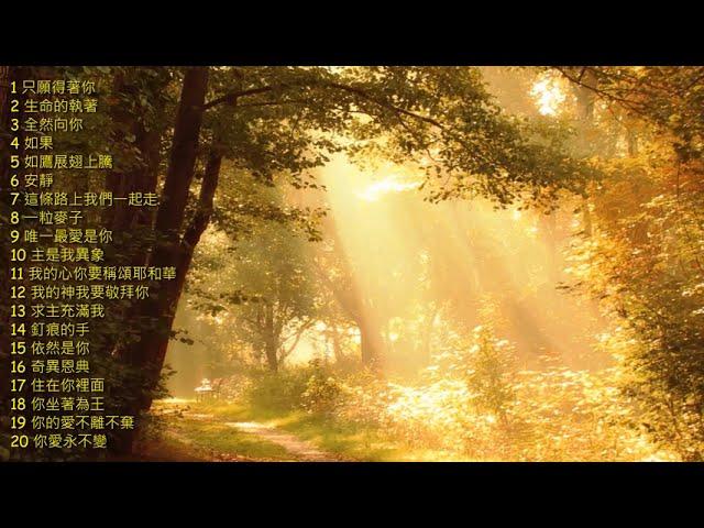 80分鐘靈修詩歌集1 (純音樂) 80-minute Devotional Hymns Collection 1 (instrumental music)