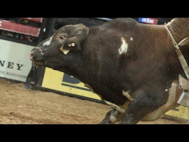 WRECK: Dakota Beck hit hard by South Point (PBR)