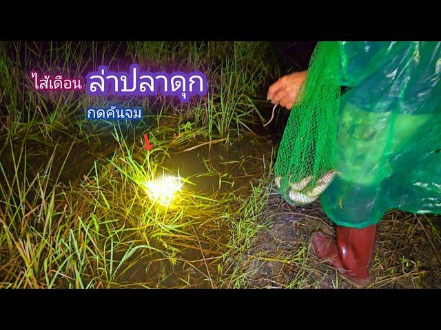 ปักเบ็ดเหยื่อไส้เดือน ล่าปลาดุก นึกเเล้วว่าต้องมีตัว / บ้านนอก EP.804