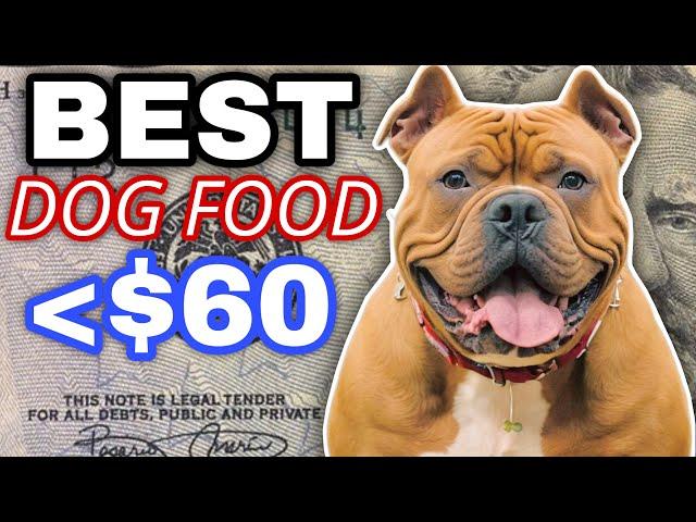 Best Dog Food Brands 2025 | American Bully XL