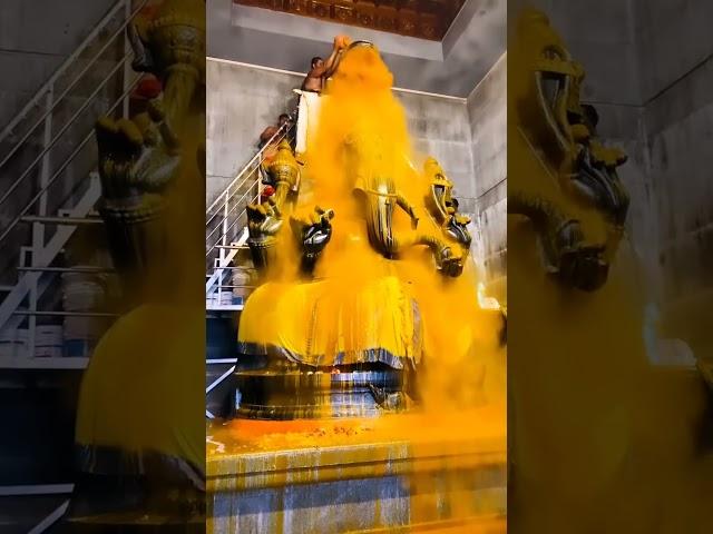 Ganpati Bappa morya #status #shorts #video #viral