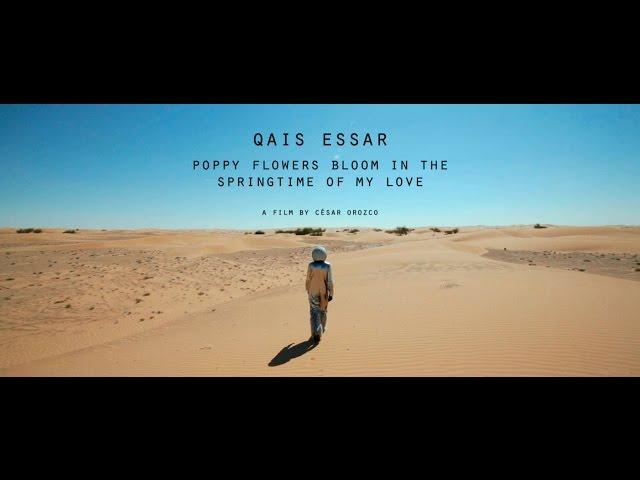 Qais Essar | Poppy Flowers Bloom in the Springtime of My Love