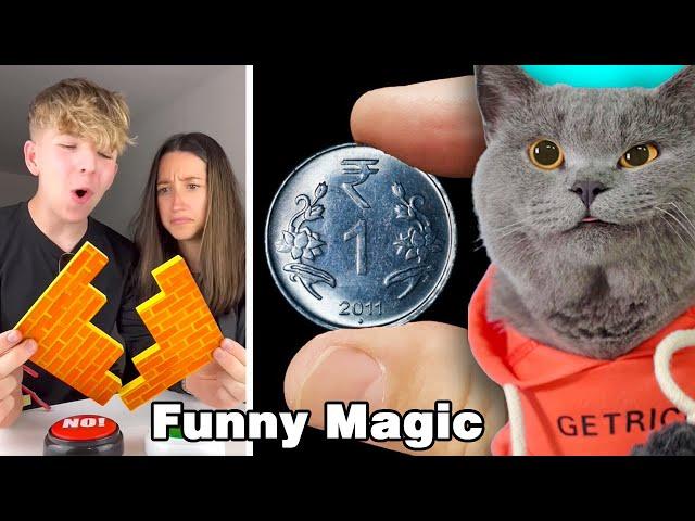 Oscar Shows You Some Funny Magic Tricks| Oscar‘s Funny World | Cute And Funny Cat