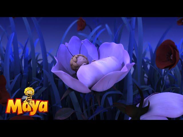 At night  - Maya the bee