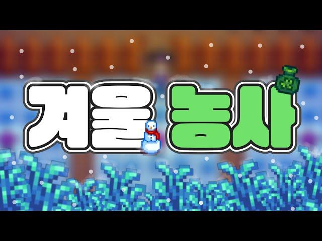 [스타듀밸리] 겨울 농사 팁