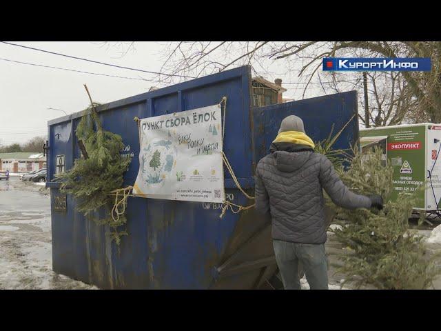 Новогоднее дерево можно сдать на полезную переработку в Сестрорецке