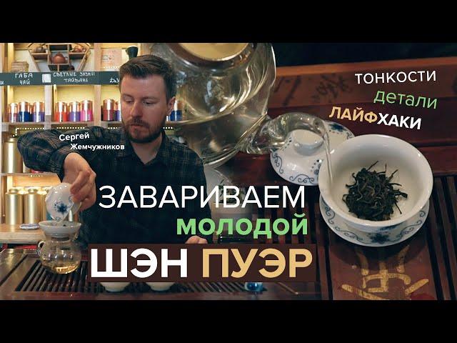 Как заварить молодой Шэн Пуэр правильно. Эффект, вкус, действие.