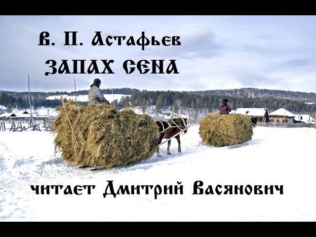 В. П. Астафьев. Запах сена. Читает Дмитрий Васянович