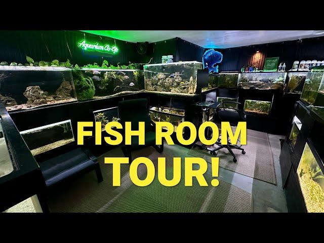 My Full Fish Room Tour