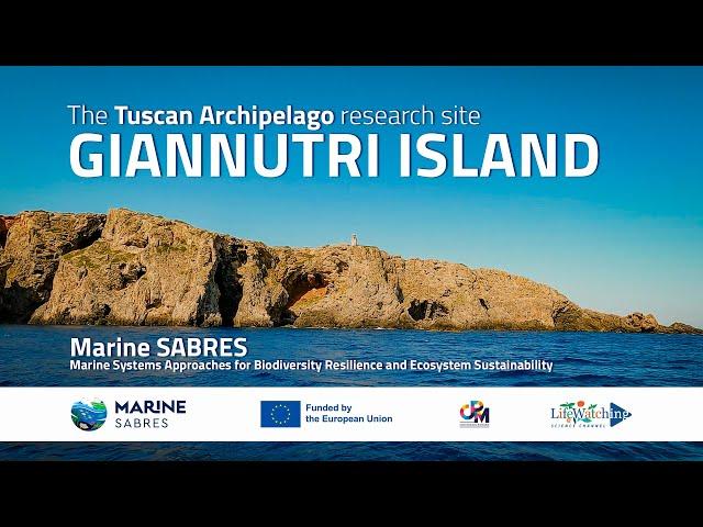 Tuscan archipelago: a focus on sustainable tourism and sea grass conservation