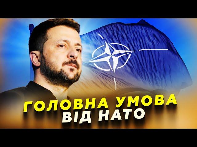 Українці ШОКОВАНІ! НАТО назвало головну УМОВУ вступу в АЛЬЯНС /  Що буде з КОРДОНОМ?!