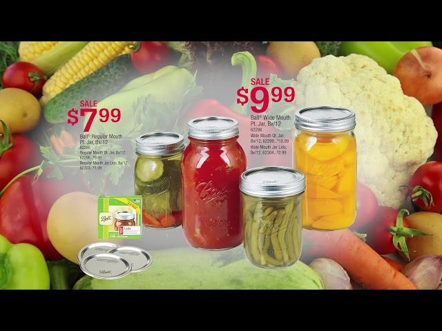 Ace Hardware 15 August Red Hot Buys