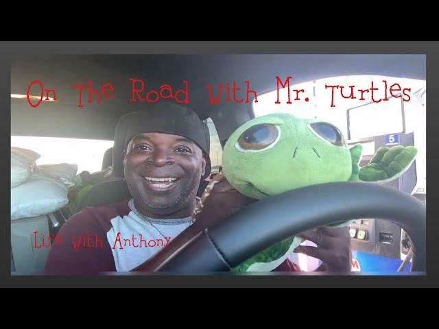 My Tiny RV Life: On The Road Again With The Turtles