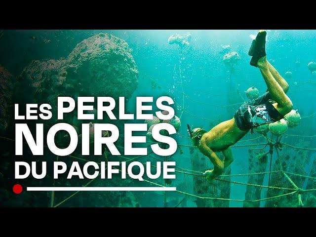 Les perles noires de Tahiti, de la nacre à la perle - Poe Rava - Diamants polynésien - Documentaire