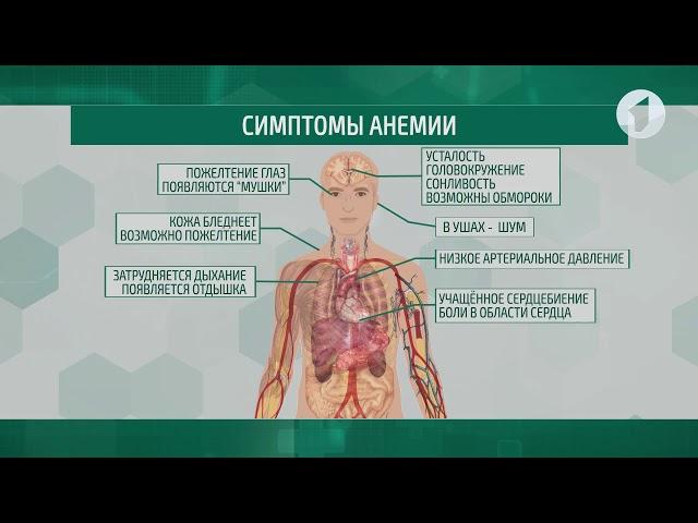 Здравствуйте / Анемия. Симптомы