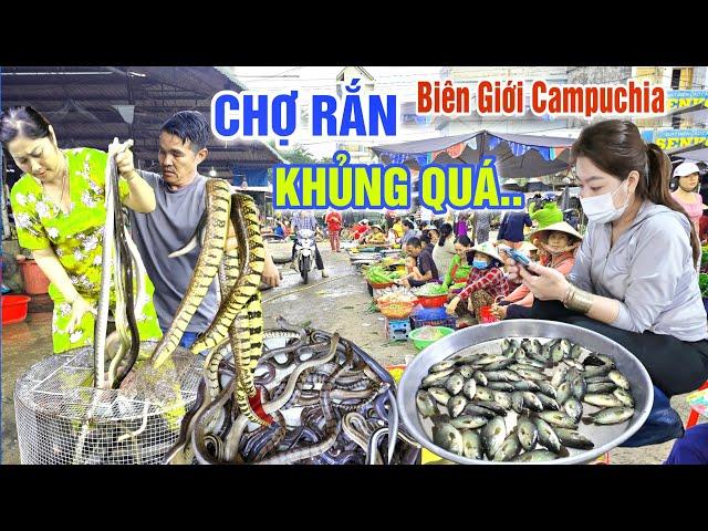 THOT TIM Ở CHỢ RẮN, CHIM CHUỘT CÁ ĐỒNG LỚN NHẤT MIỀN BIÊN GIỚI CAMPUCHIA MÙA NƯỚC NỔI - CHỢ BÀU SẬY