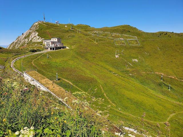 Walking in Switzerland - Rochers de Naye Mountain (4K)