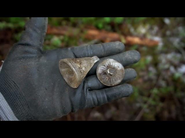 6 лет каналу. Север, один в лесу 20- день. 1941-1945-WWII Metal Detecting