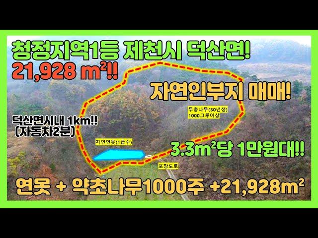 [no.318] 3.3m²당1만원대!! 21,928m² 토지+자연연못+약초나무1000그루까지! 제천시 청정1번지 덕산면! 덕산시내1km! 나는 자연인이다 강력추천!!