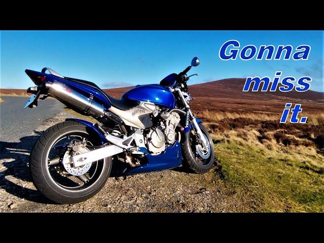 Honda Hornet 600 | Last ride (pure sound)