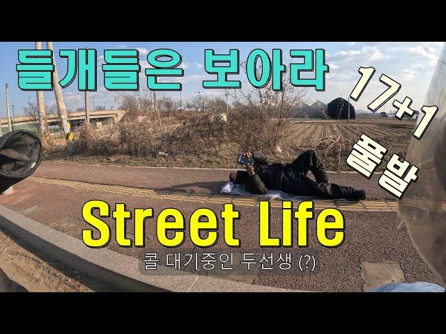 안라하두리 별풍 수금방송 질문당 처넌