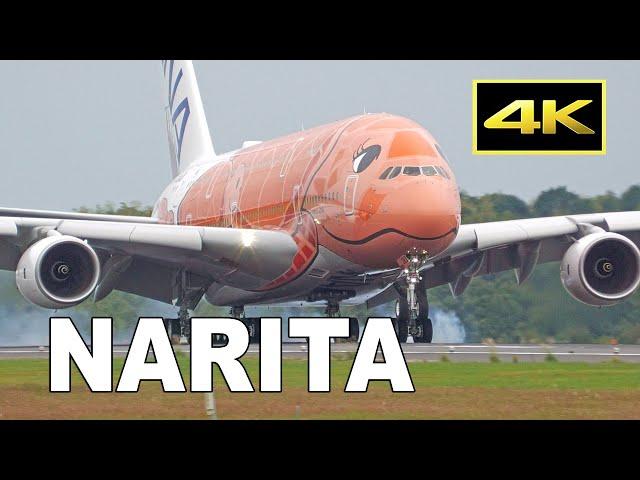 [4K] From observation deck to runway side - Plane spotting at Tokyo Narita Airport  / 成田空港