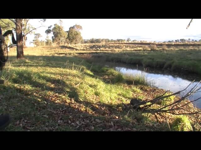 Fishing for Trout with Hardbodies - Reel Action TV