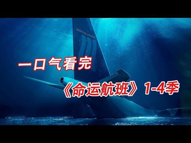 一口气看完，《命运航班》1-4季#解说 #美剧