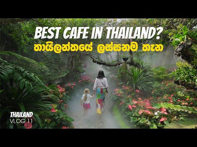 Most Beautiful Cafes in Chiang Rai | Lalitta Cafe | Akha Farmville