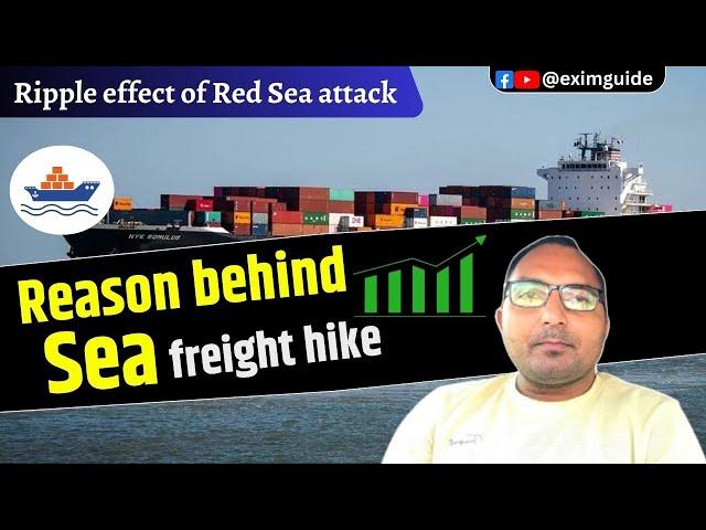 Why is ocean freight going up? why are ocean freight rates increasing | Ocean freight trend in 2024