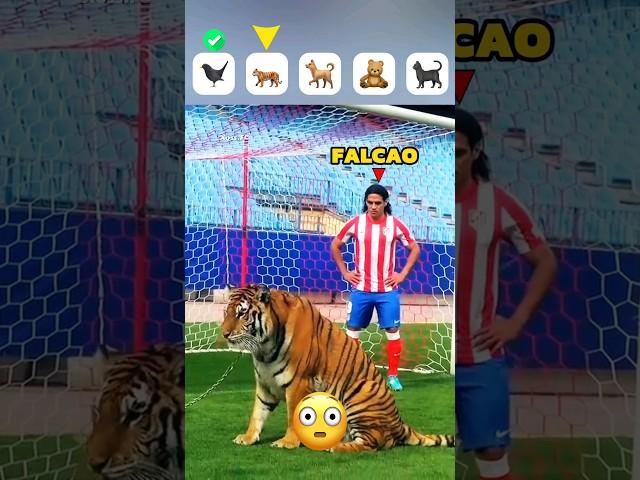 Rare Animals Moments in Football + Tiger 