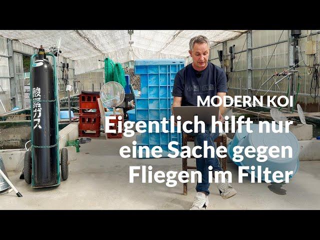 Was tun gegen Fliegen im Filterhaus?  | Modern Koi Blog #6944