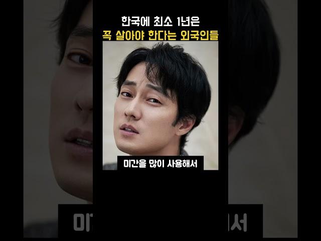 현재 해외에서 난리 난 한국살이