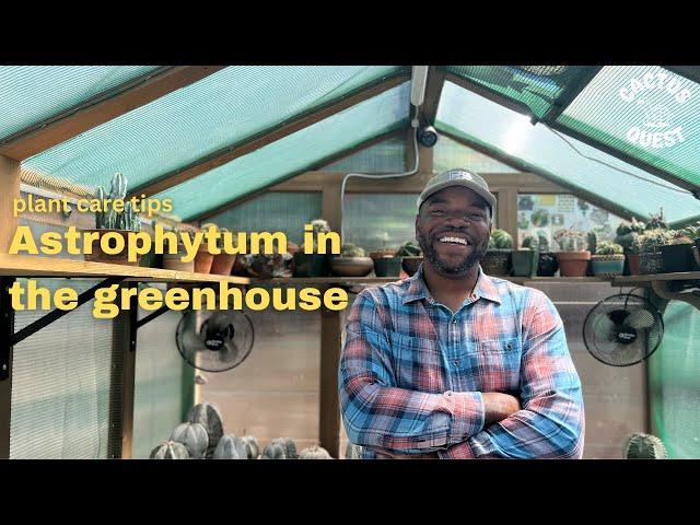 How Adam successfully grows Astrophytum in a Costco greenhouse #CactusQuestions #CactusQuest