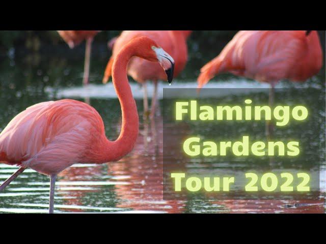 GARDEN TOUR | Flamingo Gardens Tour 2022