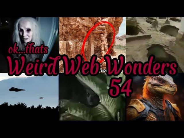 weird web wonders 54