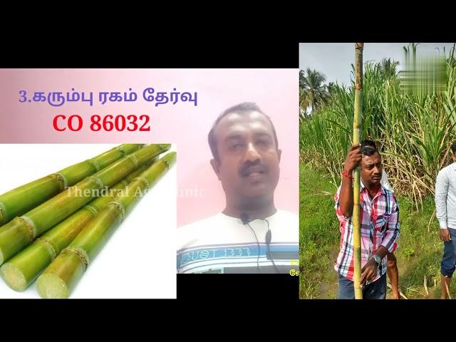 கரும்பு சாகுபடியில் 100 டன் மகசூல் எடுக்க சில எளிமையான வழிமுறைகள்/Thendral Agri clinic/Sugarcane