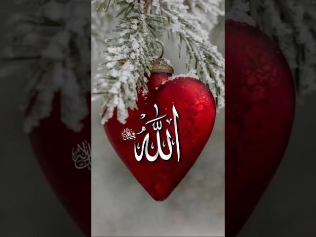allah hu akbar #rdp #islamicgojolislamic #islamicmessages #beautiful #islamicquotes
