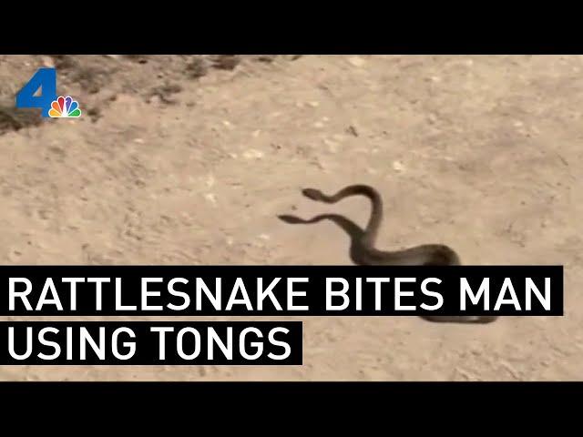 Rattlesnake Bites Man Who Picked It Up With Barbecue Tongs | NBCLA