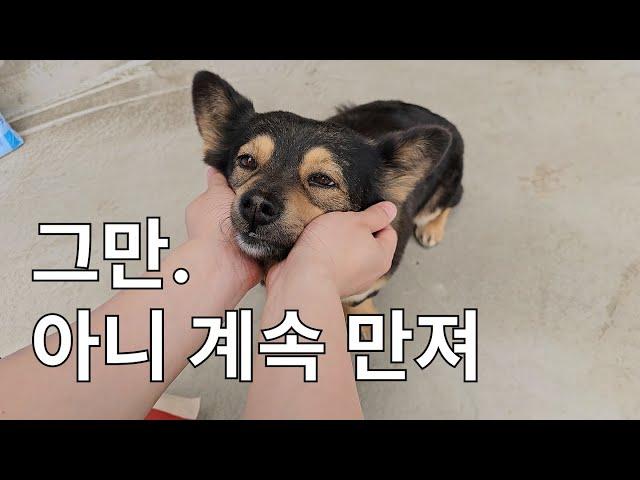 아우웅,, 넘 됴아,,,