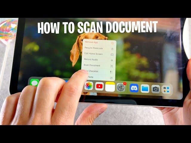 How to Scan Documents on iPad 11th Gen