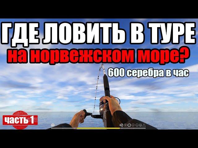 Первый раз в туре на норвежское море. Путь новичка в рр4 часть 1.