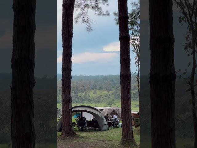 อุทยานแห่งชาติ ทุ่งแสลงหลวง ️️