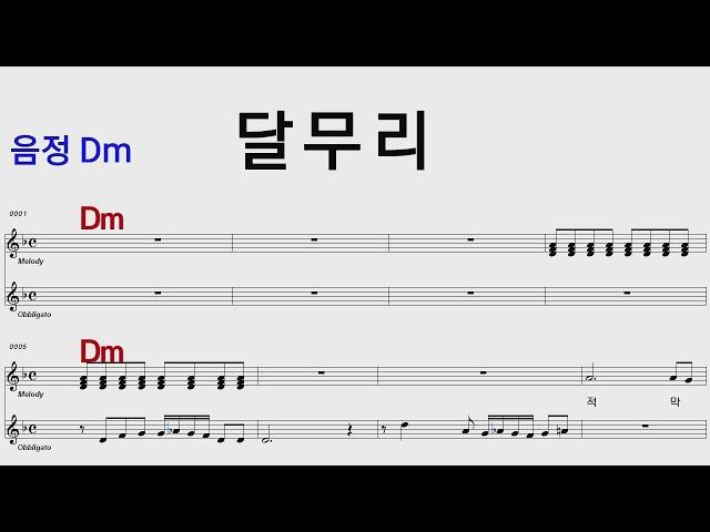달무리 영사운드 Dm /통기타 카포 악보영상