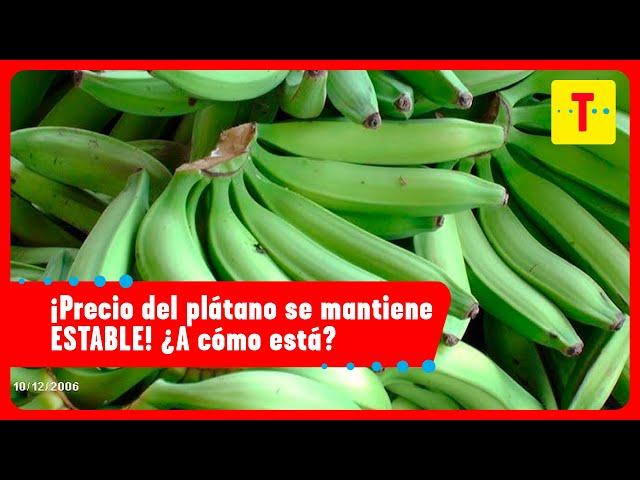 ¿A cómo está el plátano verde en Colombia?