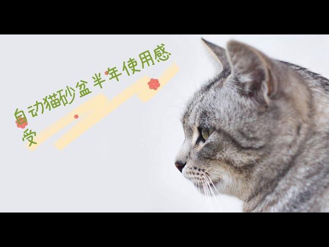 自动猫砂盆半年使用感受